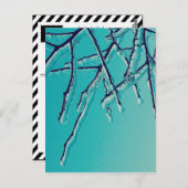 ijsbijkantoren briefkaart (Voorkant / Achterkant)