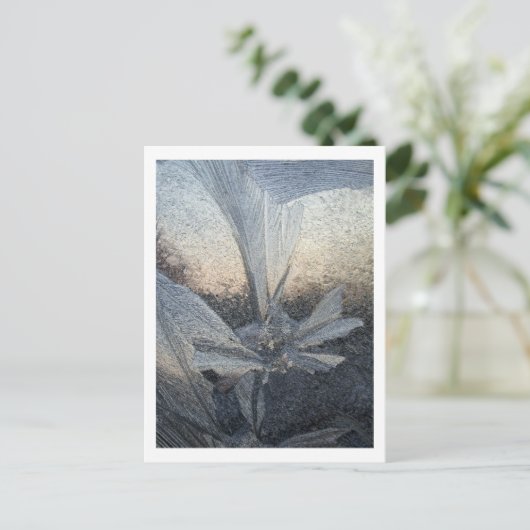 ijsbloem briefkaart (Staand voorkant)