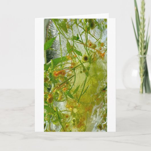 ijsbloesems, kaart (Voorkant)