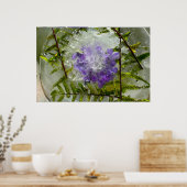 Ijsbloesems, poster (Keuken)