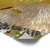 ijsbloesems, poster (Hoek)