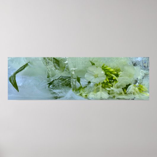 ijsbloesems, poster (Voorkant)