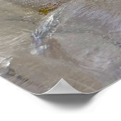 ijsbloesems, poster (Hoek)