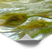 ijsbloesems, poster (Hoek)