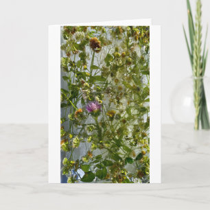 IJsdistel & klaver, Kaart