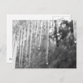 ijsfietsen briefkaart (Voorkant / Achterkant)