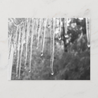 ijsfietsen briefkaart