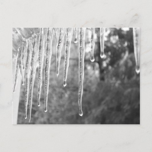 ijsfietsen briefkaart (Voorkant)