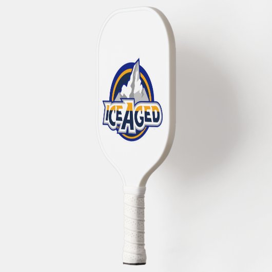 ijsgerijpte pickelbalpeddel pickleball paddle (Links)