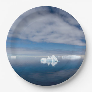IJsijs in Antarctica Papieren Bordje