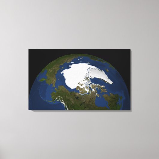 IJsijs van Arctisch zee in 2005 Canvas Afdruk (Voorkant)
