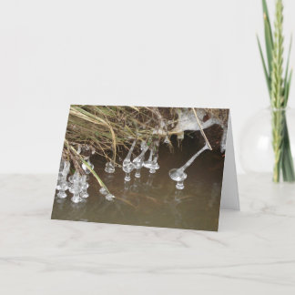 ijskappen feestdagen kaart