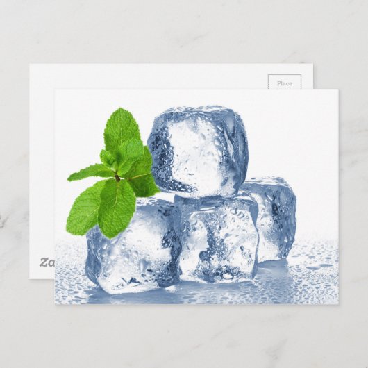 IJskuiken koel jezelf af Briefkaart (Voorkant / Achterkant)