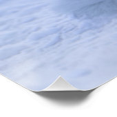 IJsland Arctic Fox Perfect Poster (Hoek)