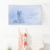 IJsland Arctic Fox Spandoek (Insitu)