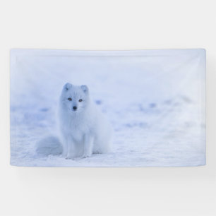 IJsland Arctic Fox Spandoek