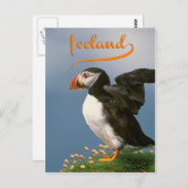 IJsland Briefkaart (Voorkant / Achterkant)