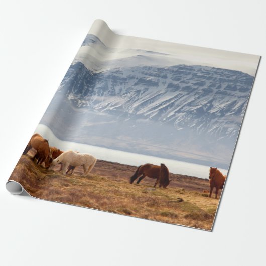 IJSLAND CADEAUPAPIER (Uitgerold)