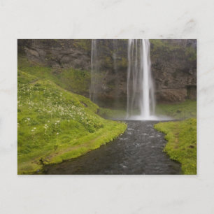 IJsland. Mensen op pad achter Seljalandsfoss Briefkaart