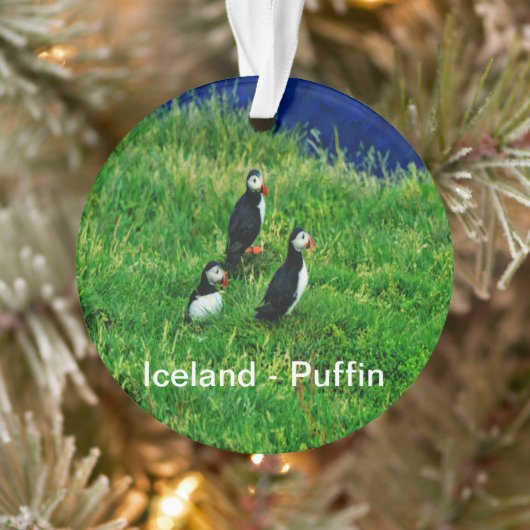 IJsland - Ornament Puffins (Boom)