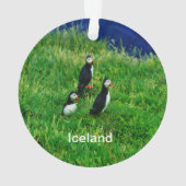 IJsland - Ornament Puffins (achterkant)