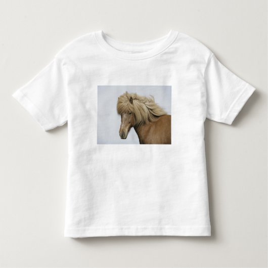 IJsland. Portret van een IJslands paard. Kinder Shirts (Voorkant)