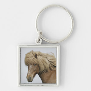 IJsland. Portret van een IJslandse paard. Sleutelhanger