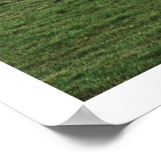 IJsland Poster (Hoek)