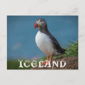 IJSLAND PUFFIN BRIEFKAART
