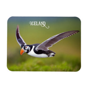 IJsland Puffin Magneet