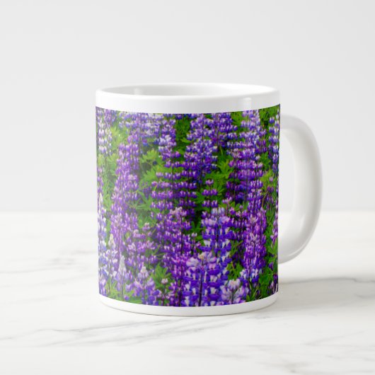 IJsland. Vik i Myrdal. Lupineveld Jumbo Beker (Voorkant rechts)