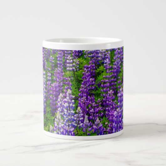 IJsland. Vik i Myrdal. Lupineveld Jumbo Beker (Voorkant)