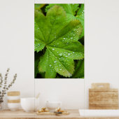 IJsland. Zuid-regio. Gullfoss Poster (Keuken)