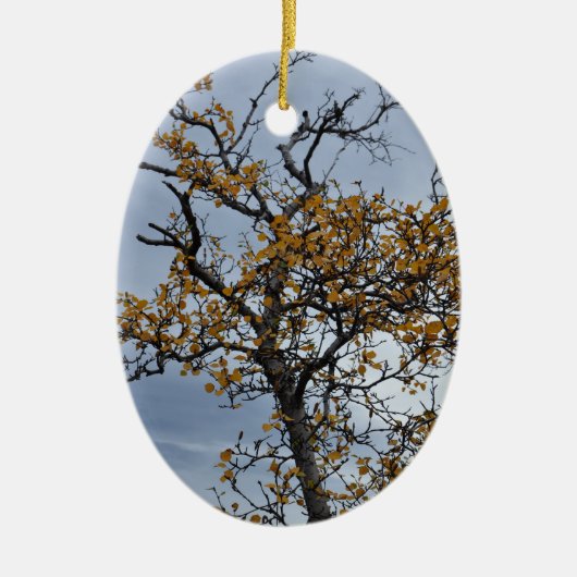 IJslands Birch Ornament (Voorkant)