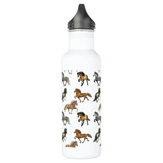 IJslands in Gait Waterfles (Links)