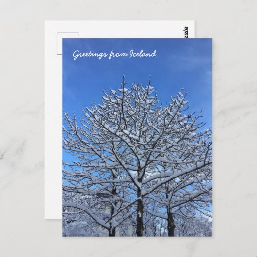 IJslands landschap Briefkaart (Voorkant / Achterkant)