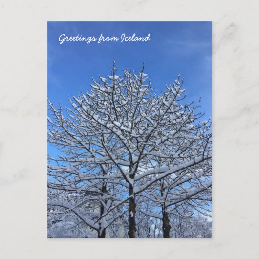 IJslands landschap Briefkaart (Voorkant)