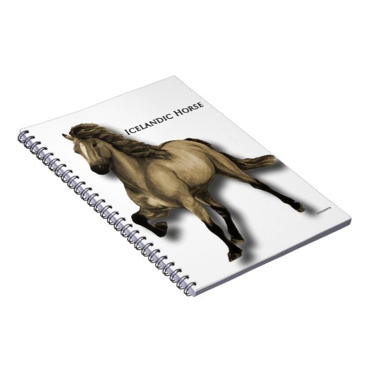  IJslands Notitieboek (Rechterzijde)