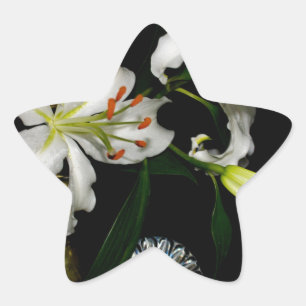 IJslands ontwerp - Collectie met messing en blauw Ster Sticker