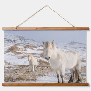 IJslands Paard Blonduos, IJsland Hangend Wandkleed