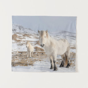 IJslands paard Blonduos, IJsland Wandkleed