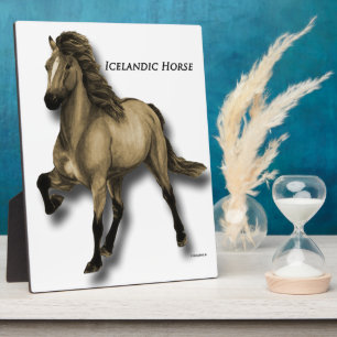 IJslands paard Fotoplaat