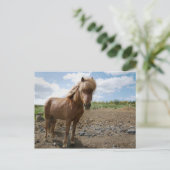 IJslands paard II Briefkaart (Staand voorkant)