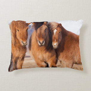IJslands paard in de winter Accent Kussen