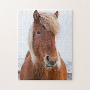 IJslands paard in de winter Legpuzzel