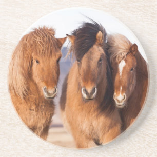 IJslands paard in de winter Zandsteen Onderzetter