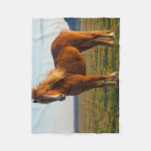 IJslands paard in zonnelicht Fleece Deken (Voorkant)