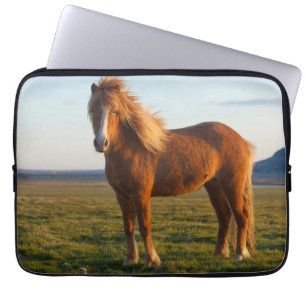 IJslands Paard in Zonsondergang Licht Laptop Sleeve