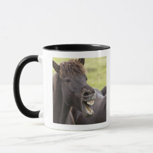 IJslands paard met grappige expressie Mok
