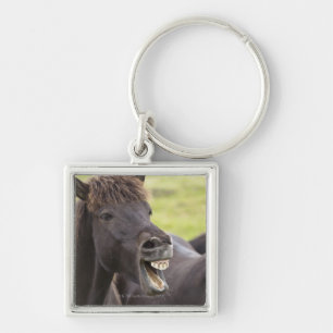 IJslands paard met grappige expressie Sleutelhanger
